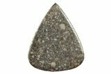 Stony Chondrite Cabochon ( g) - Meteorite #238213-1